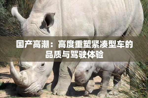 国产高潮：高度重塑紧凑型车的品质与驾驶体验