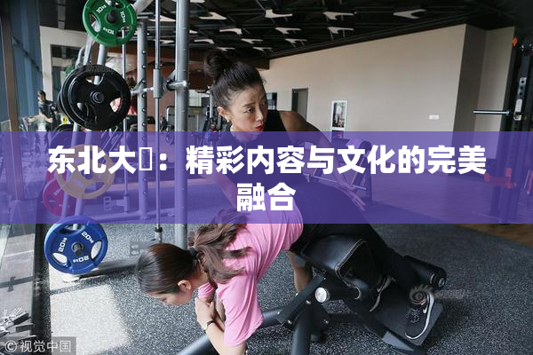 东北大鷄：精彩内容与文化的完美融合