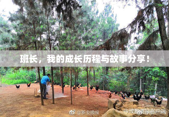 班长，我的成长历程与故事分享！