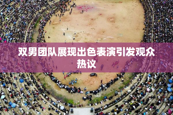 双男团队展现出色表演引发观众热议