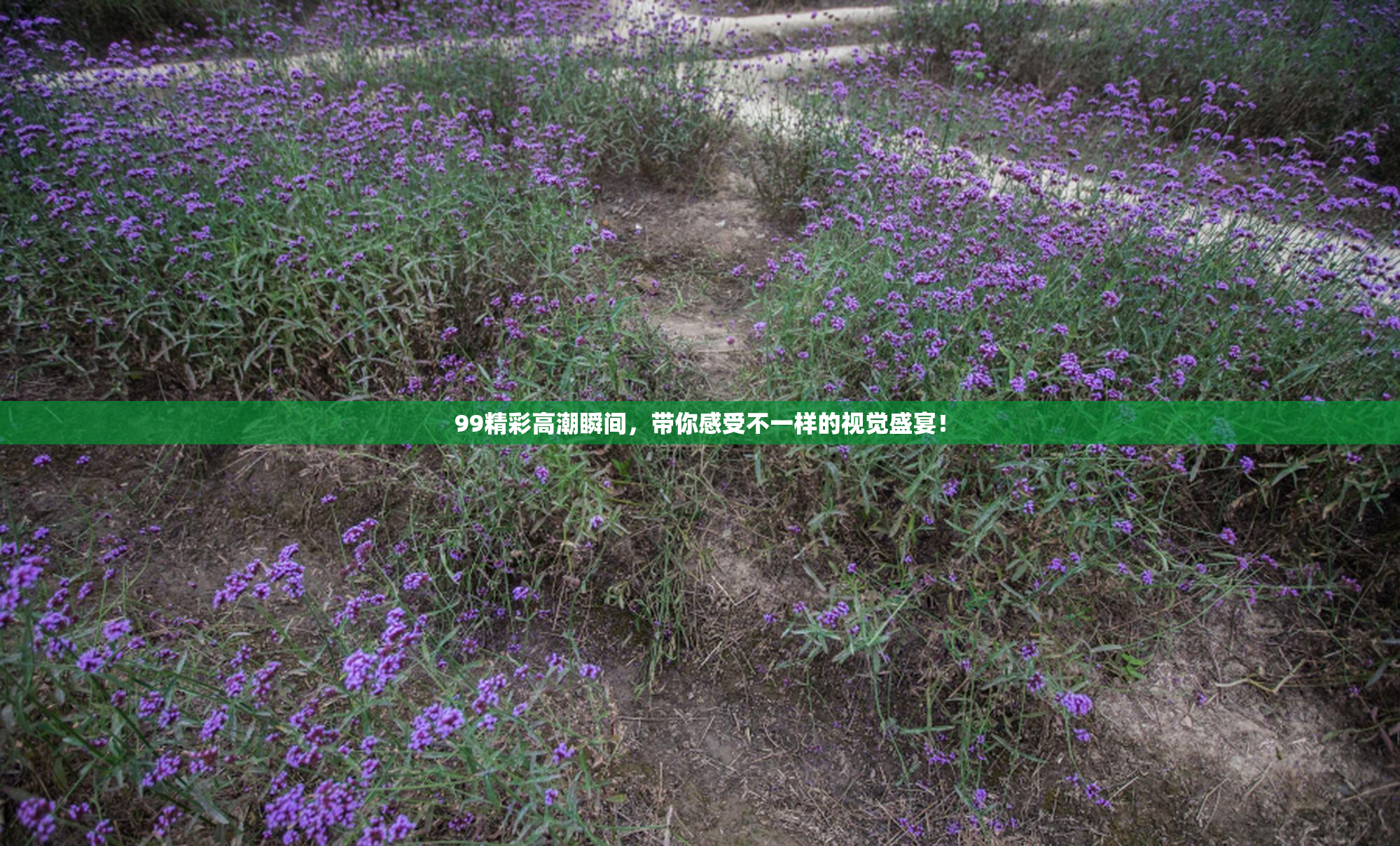 99精彩高潮瞬间，带你感受不一样的视觉盛宴！