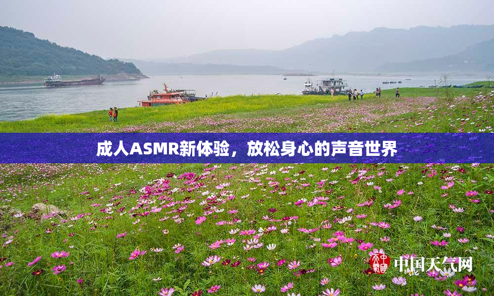 成人ASMR新体验，放松身心的声音世界