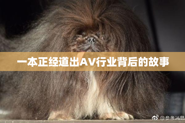 一本正经道出AV行业背后的故事