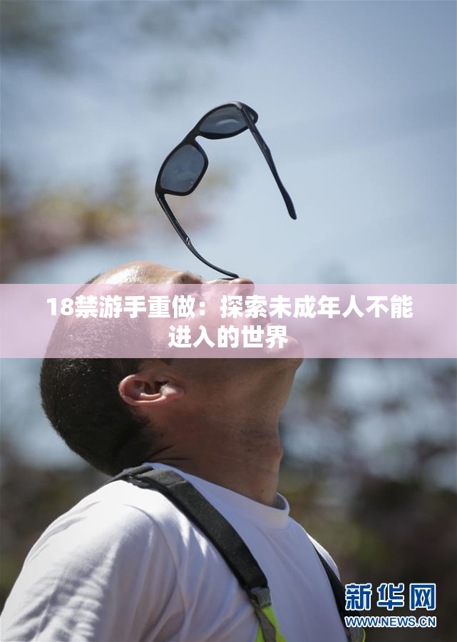 18禁游手重做：探索未成年人不能进入的世界