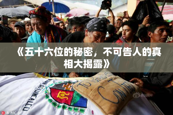 《五十六位的秘密，不可告人的真相大揭露》