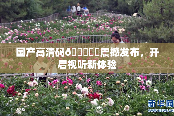 国产高清码🔞❌‌震撼发布，开启视听新体验