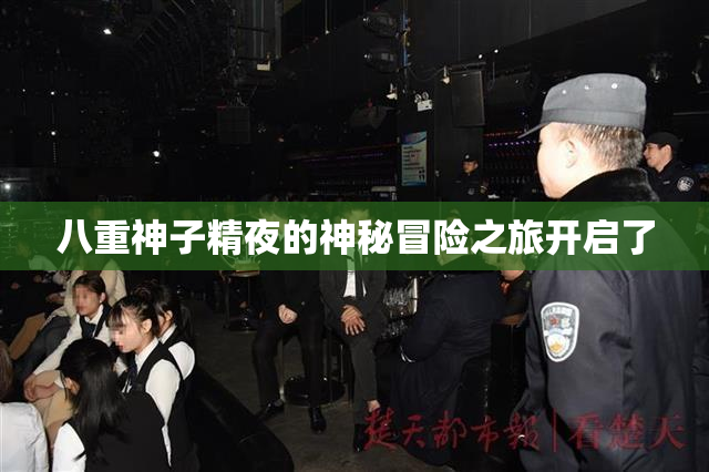八重神子精夜的神秘冒险之旅开启了