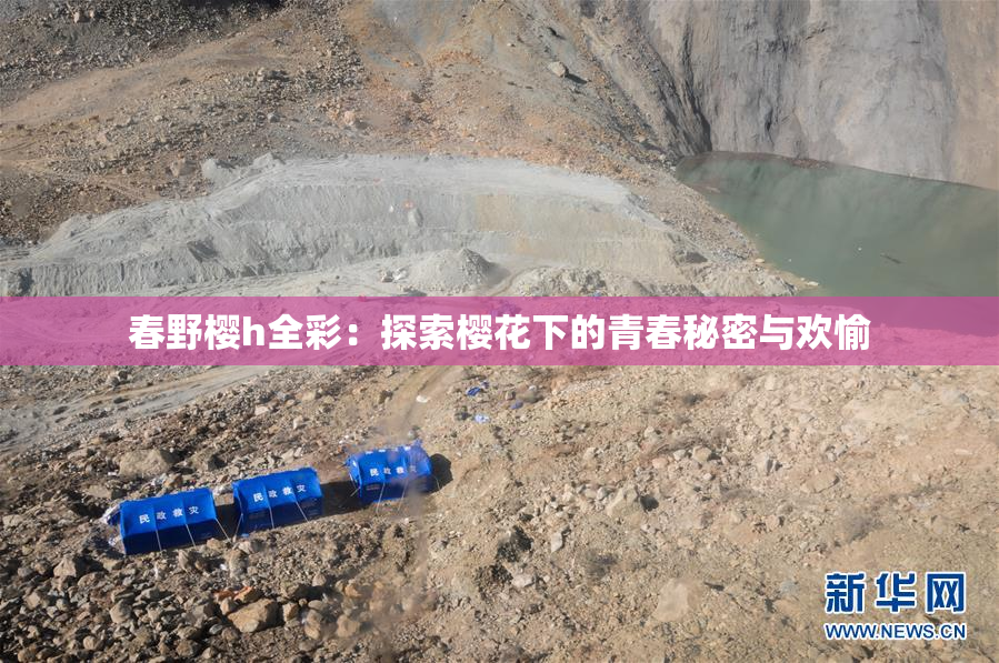 春野樱h全彩：探索樱花下的青春秘密与欢愉