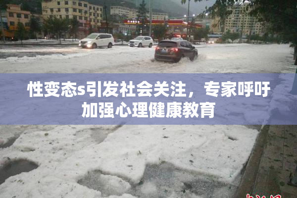 性变态s引发社会关注，专家呼吁加强心理健康教育
