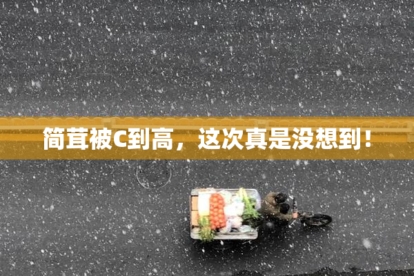 简茸被C到高，这次真是没想到！