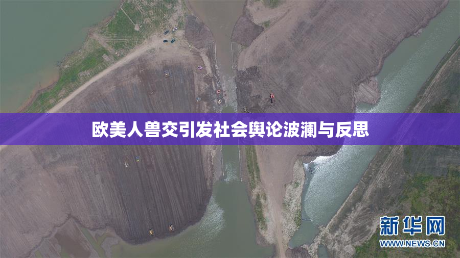 欧美人兽交引发社会舆论波澜与反思