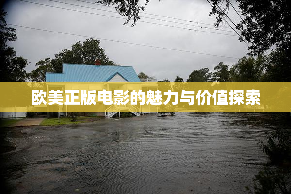 欧美正版电影的魅力与价值探索