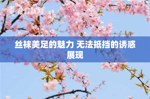 丝袜美足的魅力 无法抵挡的诱惑展现