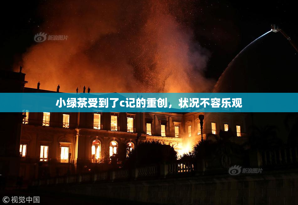 小绿茶受到了c记的重创，状况不容乐观