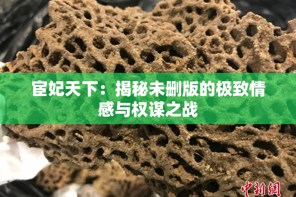 宦妃天下：揭秘未删版的极致情感与权谋之战