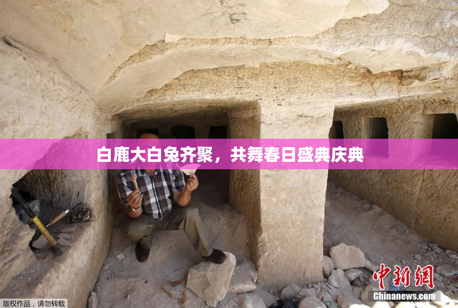 白鹿大白兔齐聚，共舞春日盛典庆典