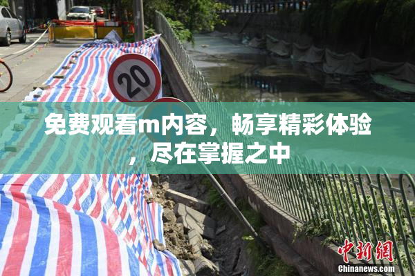 免费观看m内容，畅享精彩体验，尽在掌握之中