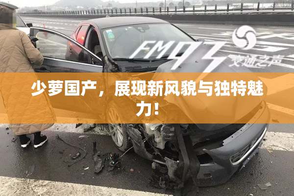 少萝国产，展现新风貌与独特魅力！