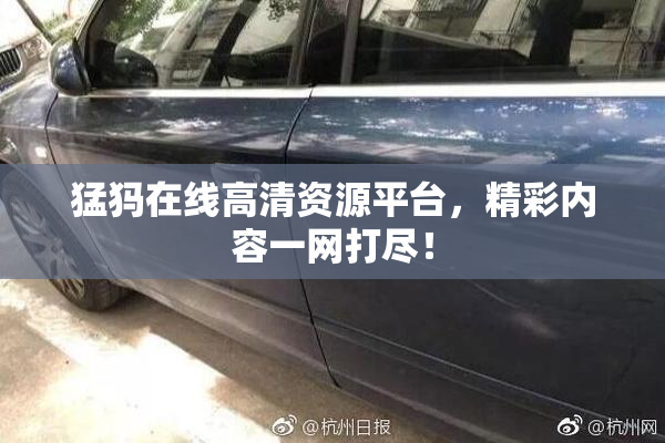 猛犸在线高清资源平台，精彩内容一网打尽！