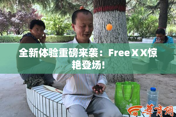 全新体验重磅来袭：FreeⅩX惊艳登场!