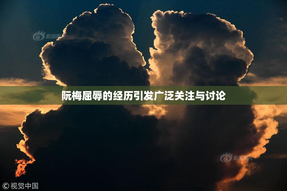 阮梅屈辱的经历引发广泛关注与讨论