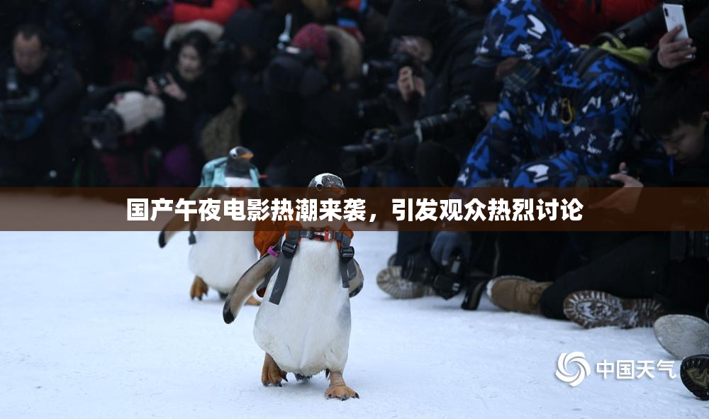 国产午夜电影热潮来袭，引发观众热烈讨论