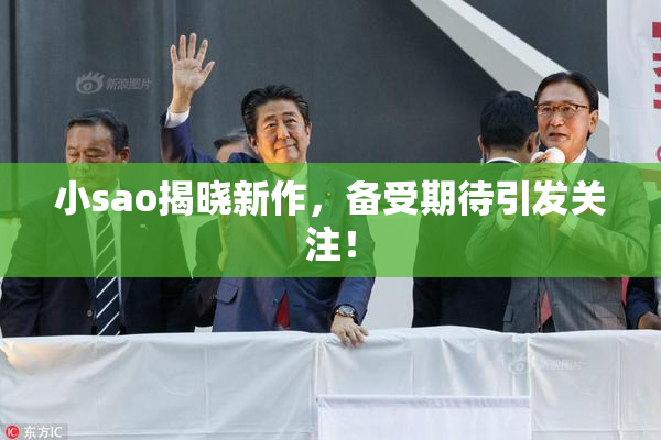 小sao揭晓新作，备受期待引发关注！