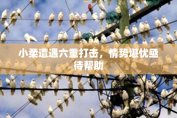 小柔遭遇六重打击，情势堪忧亟待帮助