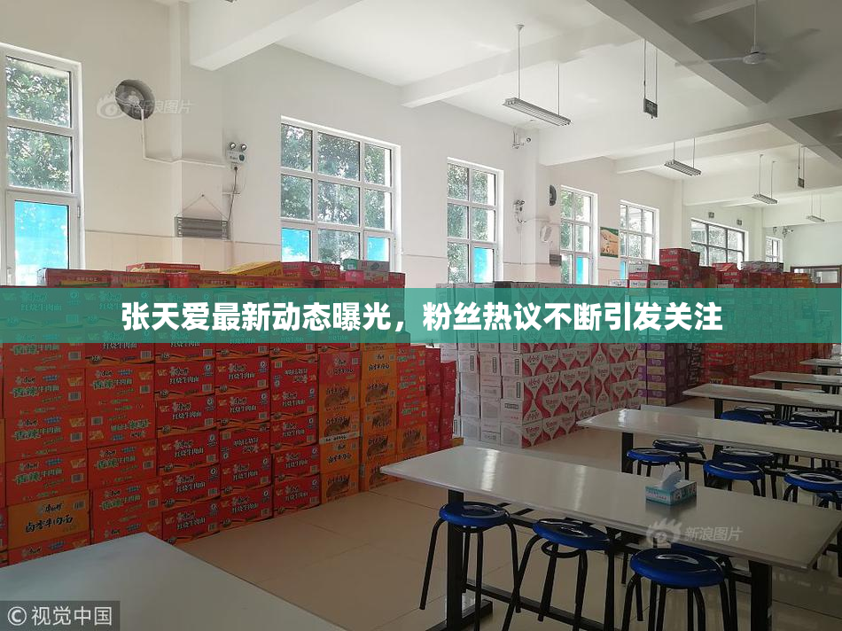 张天爱最新动态曝光，粉丝热议不断引发关注