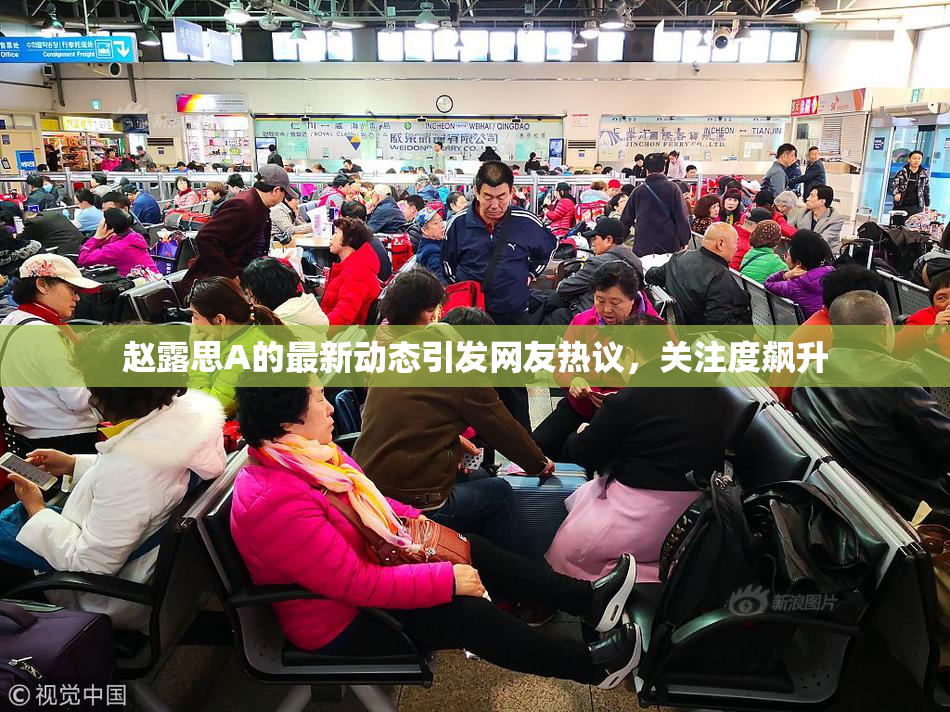 赵露思A的最新动态引发网友热议，关注度飙升