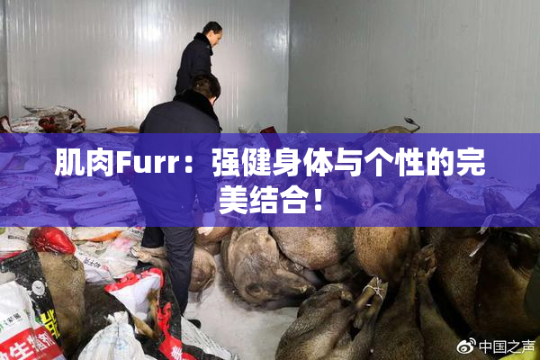 肌肉Furr：强健身体与个性的完美结合！
