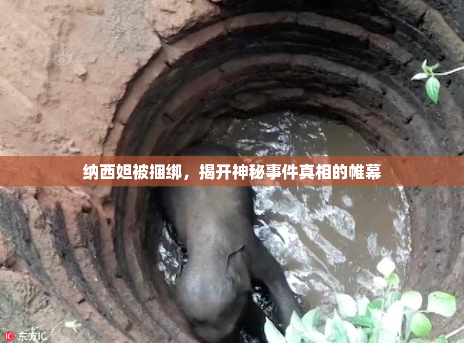 纳西妲被捆绑，揭开神秘事件真相的帷幕