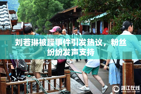 刘若琳被躁事件引发热议，粉丝纷纷发声支持