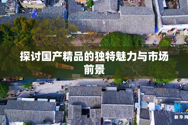 探讨国产精品的独特魅力与市场前景