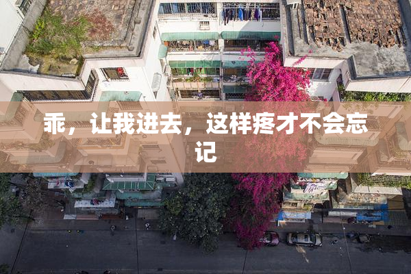 乖，让我进去，这样疼才不会忘记