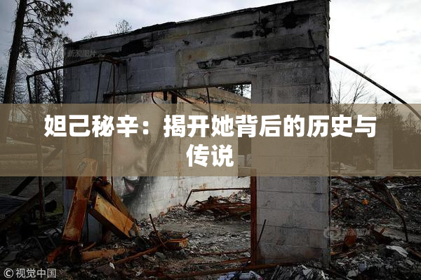 妲己秘辛：揭开她背后的历史与传说
