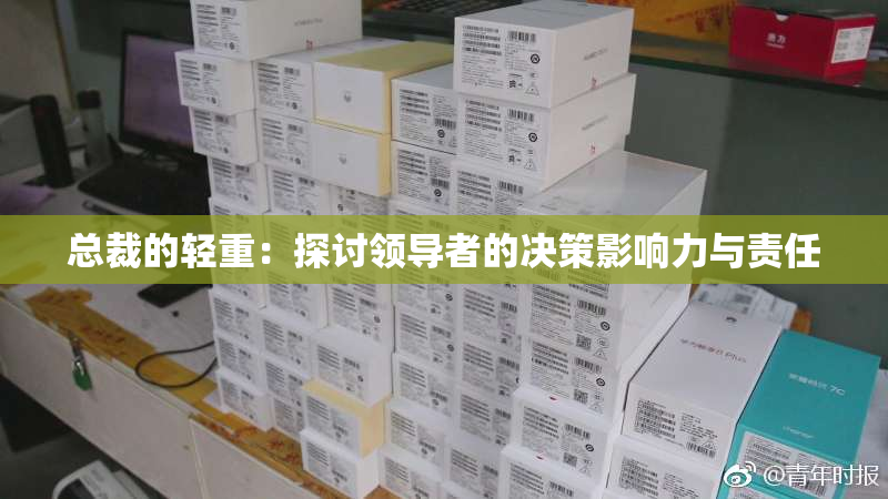 总裁的轻重：探讨领导者的决策影响力与责任