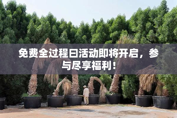 免费全过程曰活动即将开启，参与尽享福利！