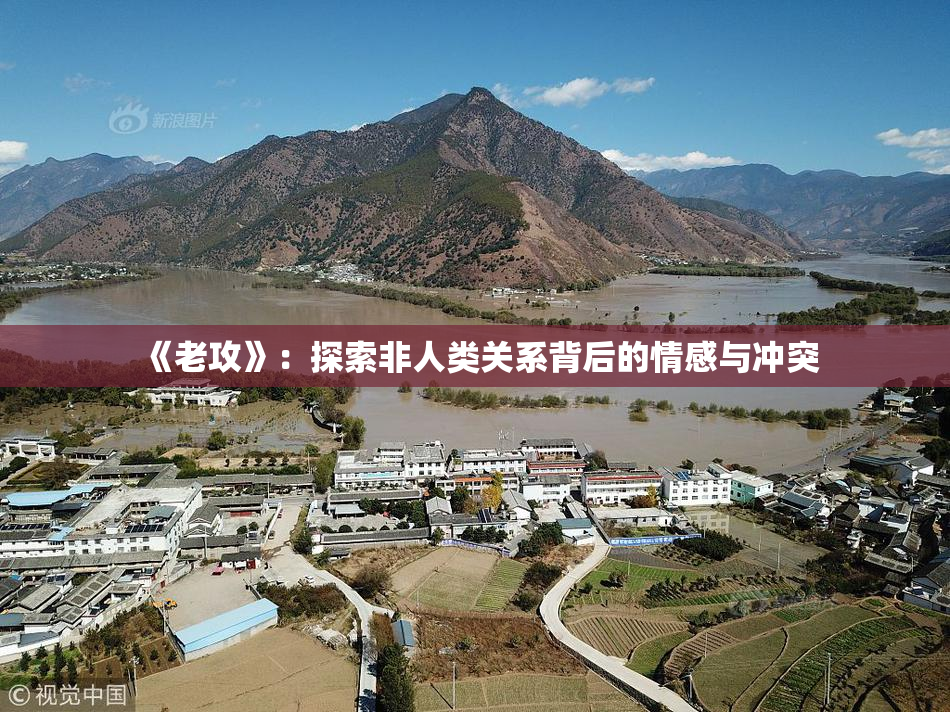 《老攻》：探索非人类关系背后的情感与冲突