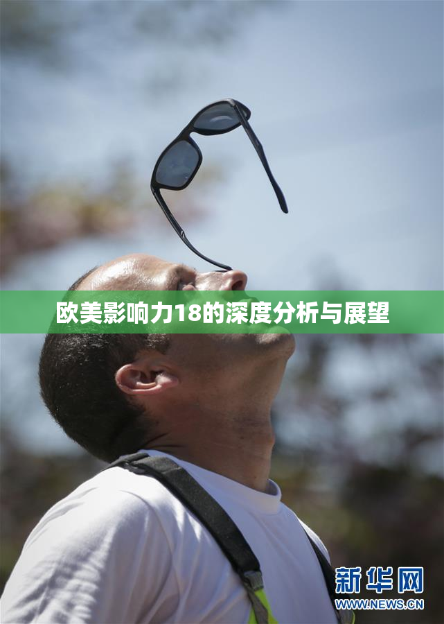 欧美影响力18的深度分析与展望