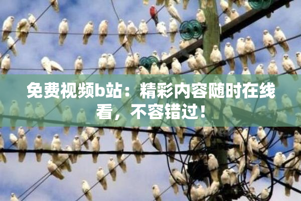 免费视频b站：精彩内容随时在线看，不容错过！