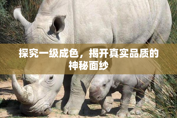 探究一级成色，揭开真实品质的神秘面纱