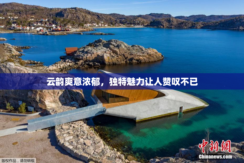 云韵爽意浓郁，独特魅力让人赞叹不已