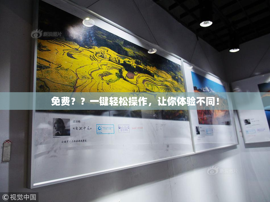 免费？？一键轻松操作，让你体验不同！