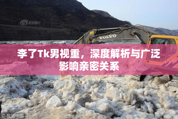 李了Tk男视重，深度解析与广泛影响亲密关系