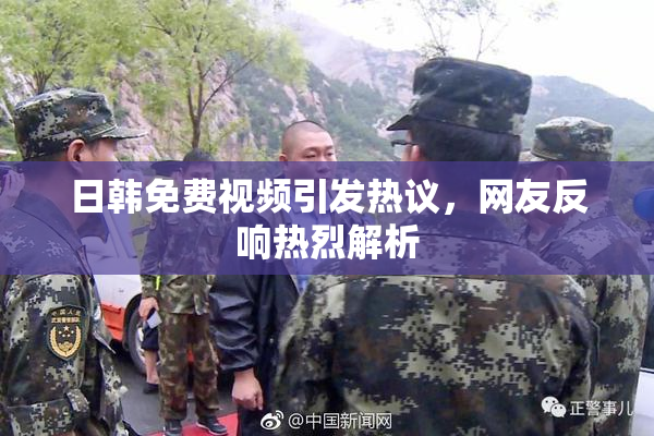 日韩免费视频引发热议，网友反响热烈解析