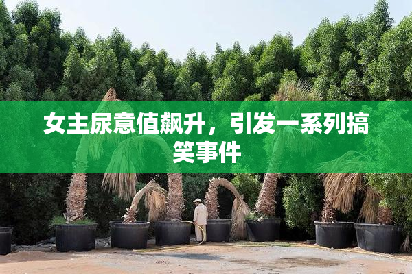 女主尿意值飙升，引发一系列搞笑事件