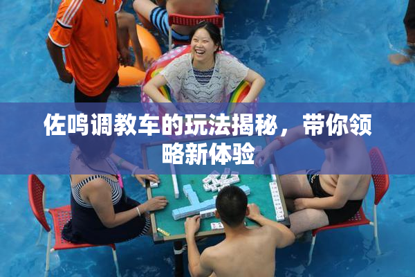佐鸣调教车的玩法揭秘，带你领略新体验