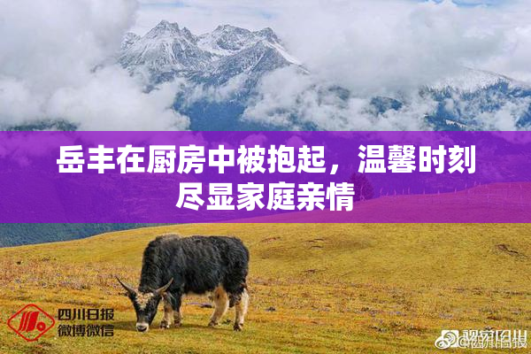 岳丰在厨房中被抱起，温馨时刻尽显家庭亲情