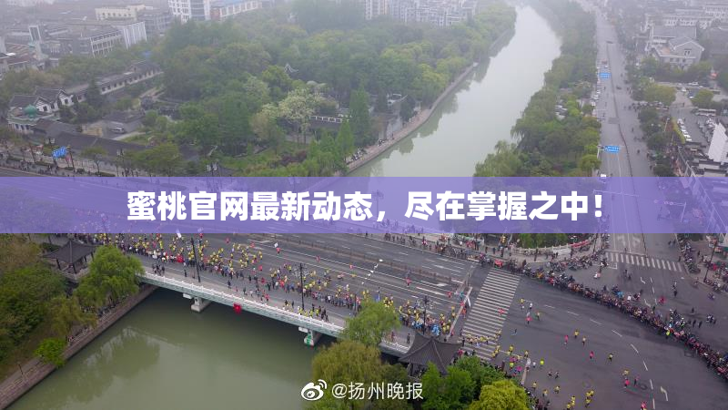 蜜桃官网最新动态，尽在掌握之中！